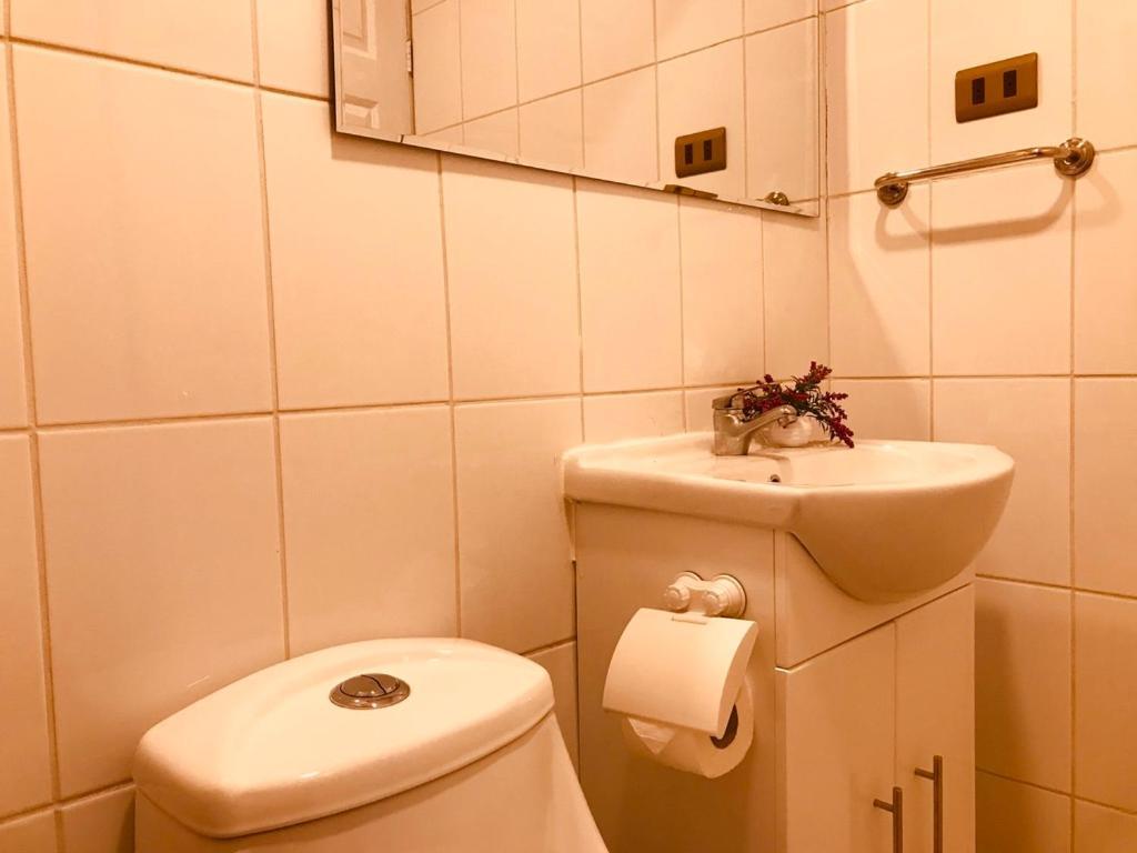 Apart Hotel Don Domingo Temuco Extérieur photo